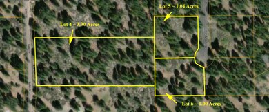0 Incline Dr unit Lot 4 220182964, Chiloquin, OR 97624 - photo 3