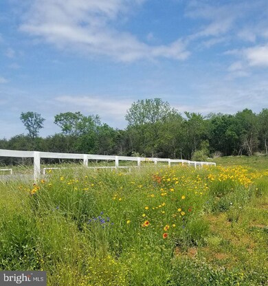 0 Wadesville Rd unit VACL112040, Russell, VA 22611 - photo 2