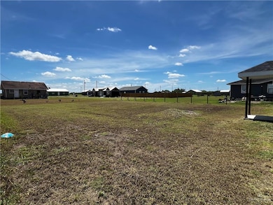 10882 Lodgepole Pine Dr, Mercedes, TX NULL - photo 3