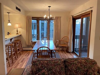 127 Mountains Edge Rd unit 202, Brownsville, VT 05037 - photo 2