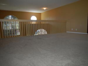 View From Family Room