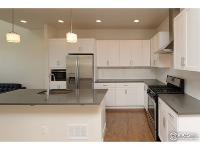 503 Cajetan St, Fort Collins, CO 80524 - photo 6