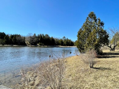 Black River (5)