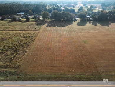 0 Rawls Rd unit 5 385619, Robertsdale, AL 36567 - photo 4