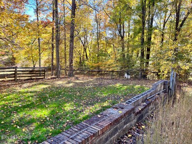 PeachTree-5