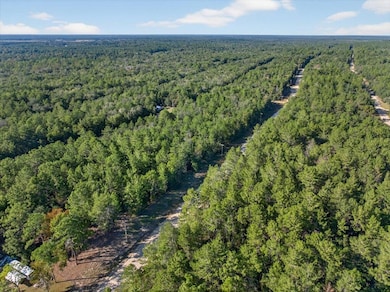 View of property location with a forest