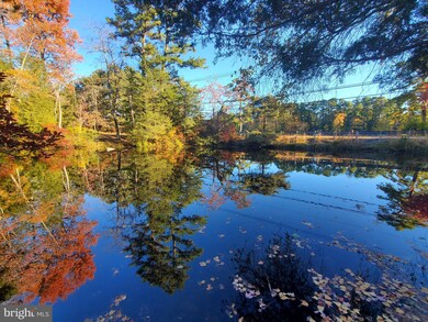 10 Sage St, Browns Mills, NJ 08015 - photo 3