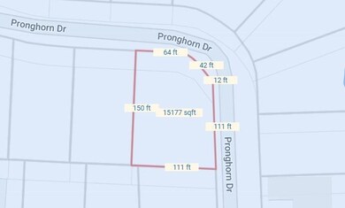 Lot 39C Pronghorn Dr, Gordonville, TX 76245 - photo 4