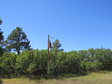IMG_9578