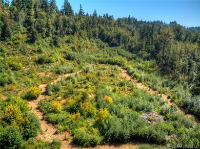 0 256th St E, Graham, WA 98338 - photo 7