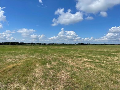 010 Tamplen W, Whitesboro, TX 76273 - photo 3