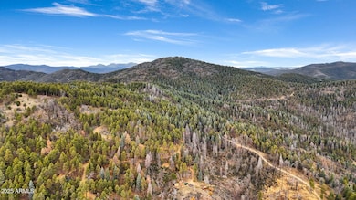 1500 Forest Service Rd unit 2, Prescott, AZ 86303 - photo 2