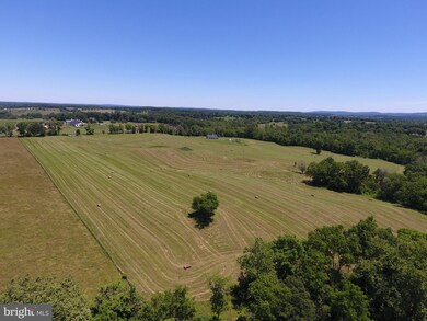 8101 Old Carters Mill Rd, Marshall, VA 20115 - photo 5