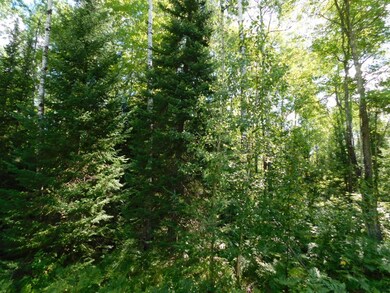 Lot 2 Sanctuary Rd, Tomahawk, WI 54487 - photo 6