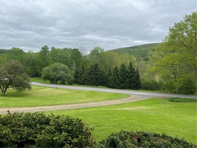 1217 County Highway 34, Schenevus, NY 12155 - photo 5