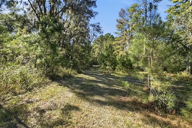 0 SW Paradise Way unit MFRTB8442555, Greenville, FL 32331 - photo 5