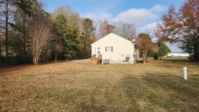 8174 Birdsnest Dr, Birdsnest, VA 23307 - photo 4