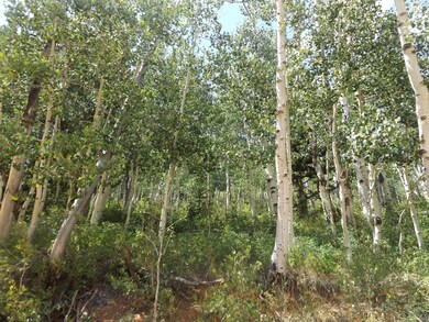 462 W Ski View Dr unit 8, Brian Head, UT 84719 - photo 5