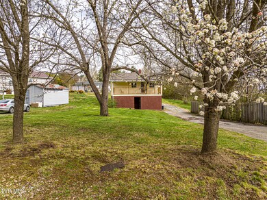 1615 Miami Dr, Johnson City, TN 37601 - photo 4