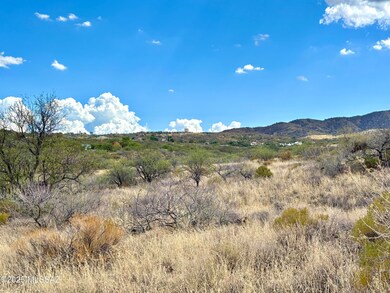 2.5 Acres W Linda Vista Rd, Oracle, AZ 85623 - photo 5