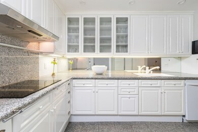 50 Winchester St unit 101, Brookline, MA 02446 - photo 3