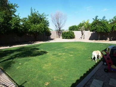 backyard (1)