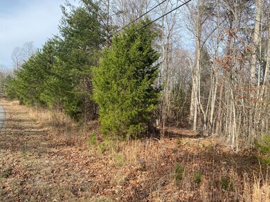 1180 Roberts Bend Rd, Burnside, KY 42519 - photo 5