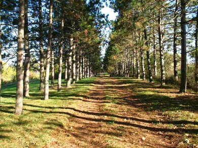 7529 W Orland Rd, Angola, IN 46703 - photo 4