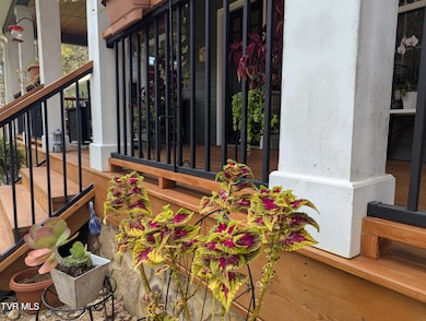 114 Greenland Park Rd, Church Hill, TN 37642 - photo 5