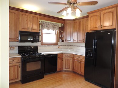 257 N Walnut St, Elmhurst, IL 60126 - photo 5