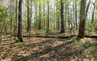 Additional View