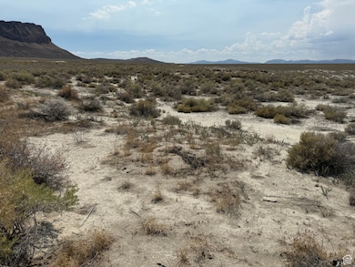 82020 S 8000 W, Grouse Creek, UT 84313 - photo 4