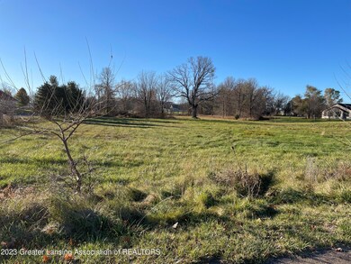 315 Hamman Dr, Eaton Rapids, MI 48827 - photo 5