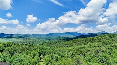 2 Watson Gap Rd, Mineral Bluff, GA 30559 - photo 6
