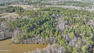 1074 Ridgeside Dr, Brandon, MS 39042 - photo 3