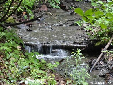 Other. Stream thru property.