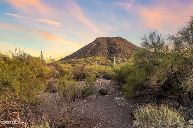 4251 W Mountain Side Dr unit 21, Tucson, AZ 85745 - photo 3