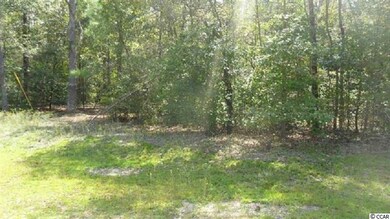 1126 Diamond Cove Ct unit Diamond Cove-Loris -, Loris, SC 29569 - photo 3