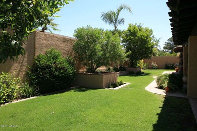 Private easy care back yard