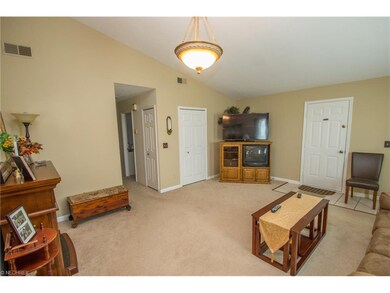 Fresh neutral carpet
