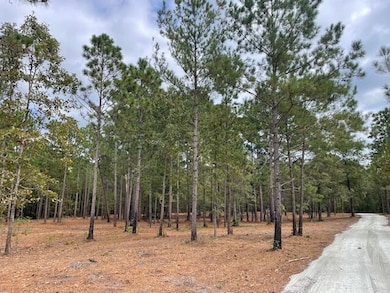 0 Hwy 45 unit 25024847, Cross, SC 29436 - photo 5