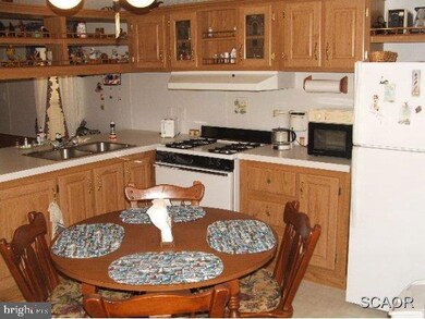 unlisted-address, Selbyville, DE 19975 - photo 7