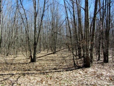 Mixed woods