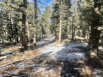 1873 N Mountain Estates Rd unit 55054116, Florissant, CO 80816 - photo 3