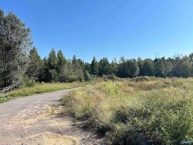 20 A Mayfield Rd, Athens, AL 35611 - photo 2