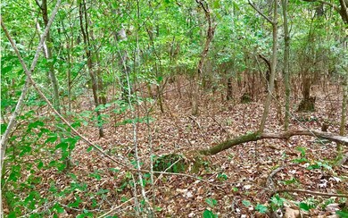 Additional View