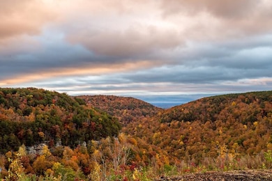 0 Worley Rd unit RTC2810073, Soddy-Daisy, TN 37379 - photo 4