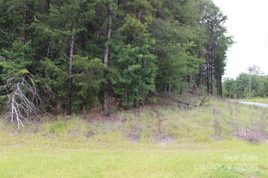 00 Us 74 Bypass Hwy, Spindale, NC 28160 - photo 2