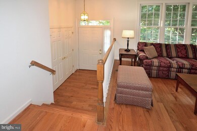 3623 Ransom Place, Alexandria, VA 22306 - photo 2
