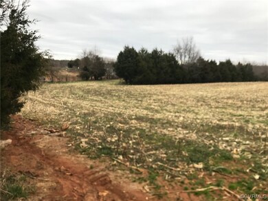 View of local wilderness featuring a rural view